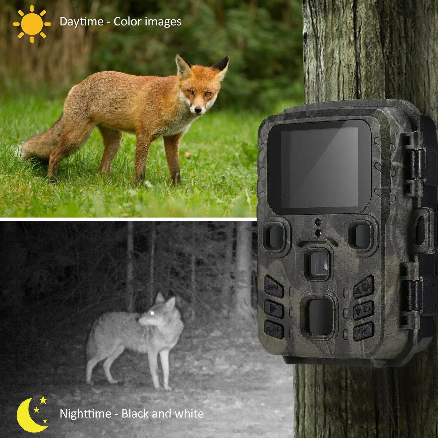 Hunting Wild Trail Camera – High-Resolution Wildlife Camera